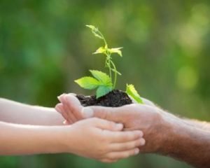 Home Care: Garden remedies, home nursing and making the most of summer break