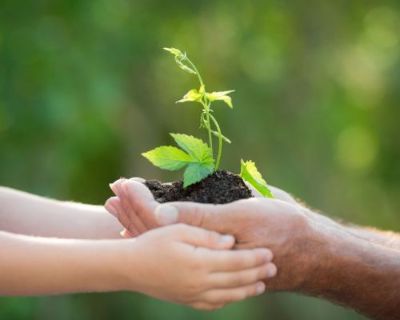 Home Care: Garden remedies, home nursing and making the most of summer break