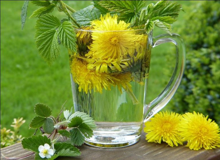 Spring Detox: An Introduction to an Anthroposophical Detox Program at the Rudolf Steiner Health Center