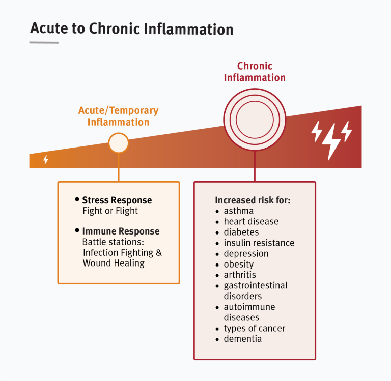 Health and Learning Are Deeply Interconnected in the Body: