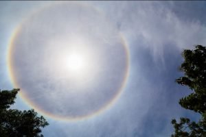 The Corona Virus