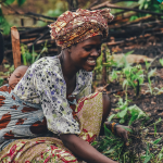 African woman smiling as she harvests