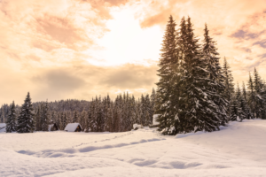 Winter 2022 Newsletter