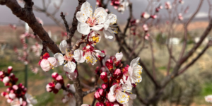 Spring 2023 Newsletter