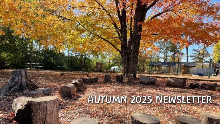 Autumn 2025 Newsletter