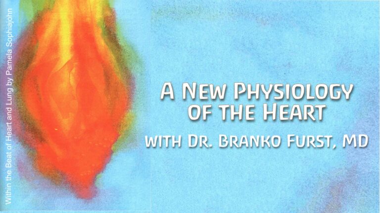 A New Physiology of the Heart