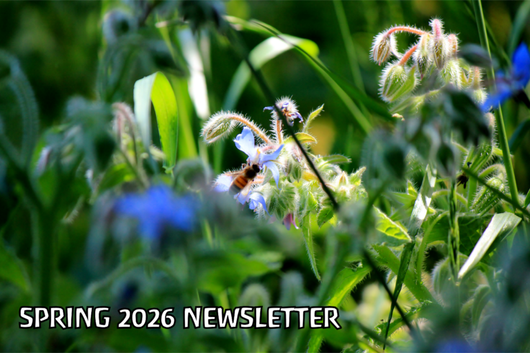 Spring 2026 Newsletter