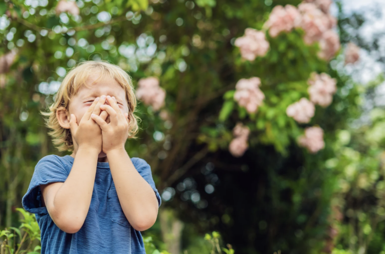 Supportive Home Care for Seasonal Allergies