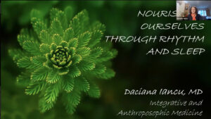 Nourishing Ourselves Through Rhythm and Sleep