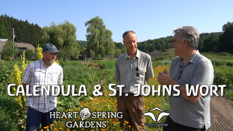 Calendula & St. John’s Wort